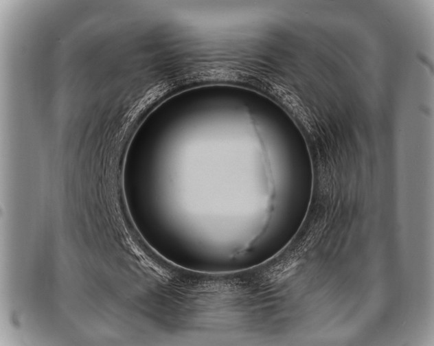 X0000097670625200802291501