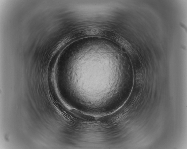 X0000097670626200802291501