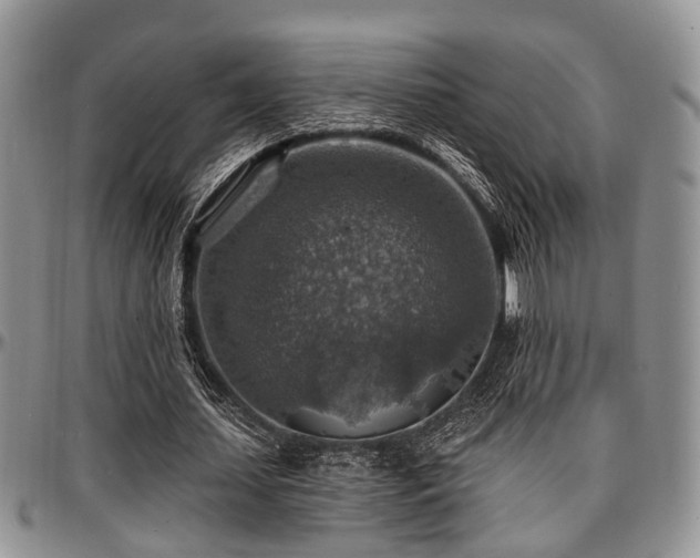 X0000097670627200802291501