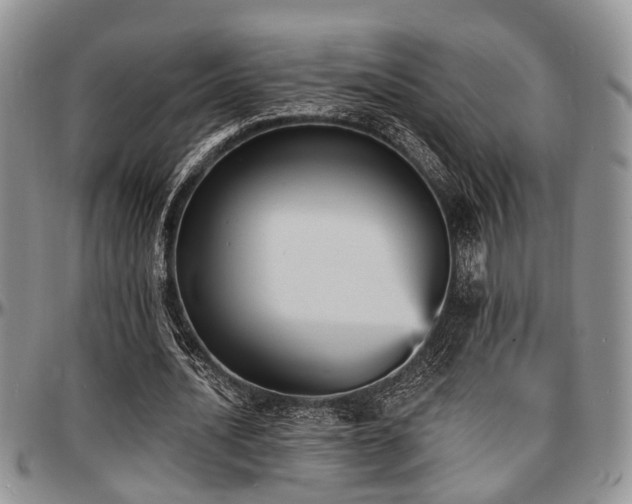 X0000097670628200802291501