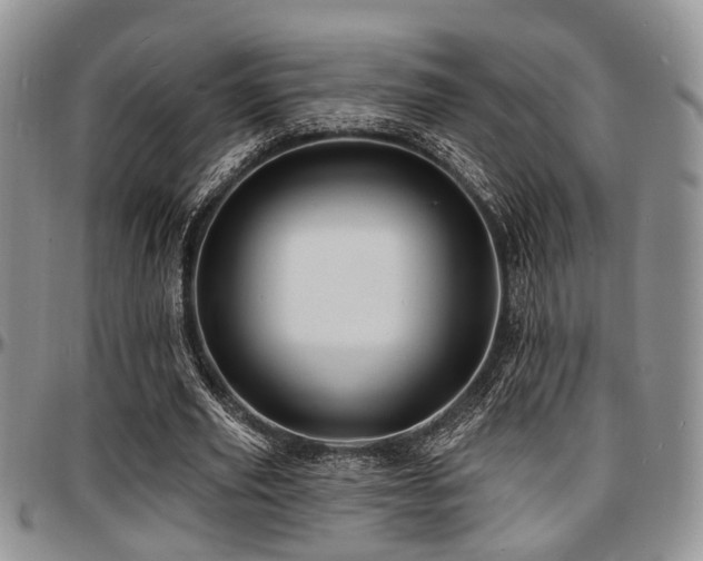 X0000097670629200802291501