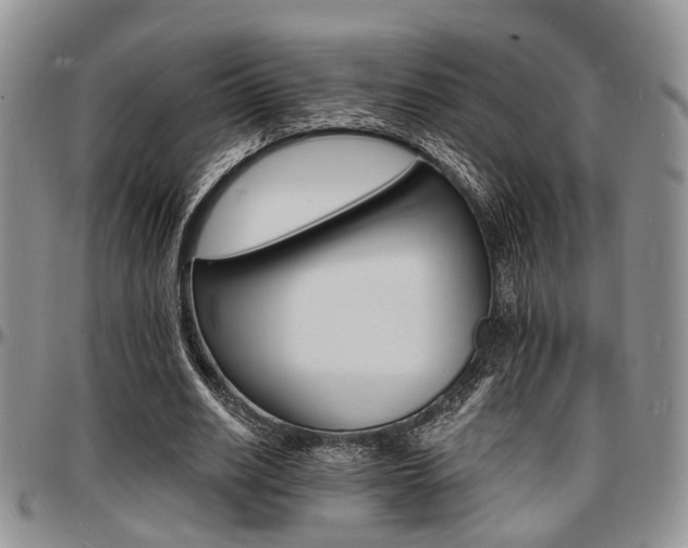 X0000097670630200802291501