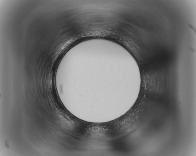 X0000097670632200802291501