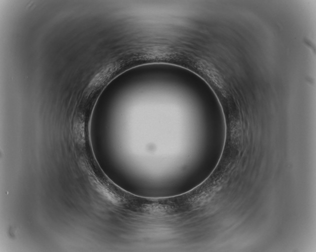X0000097670633200802291501