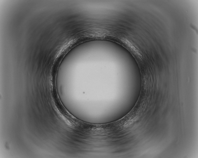X0000097670634200802291501
