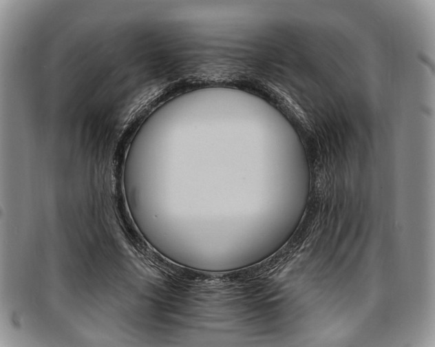 X0000097670635200802291501