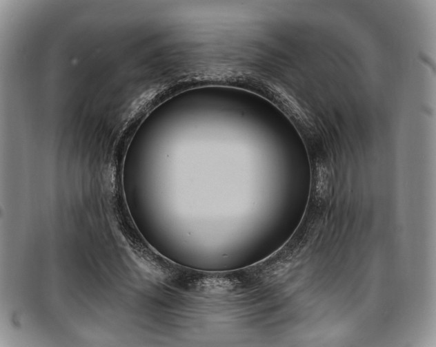 X0000097670636200802291501