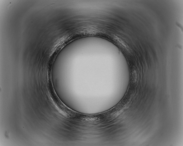 X0000097670638200802291501