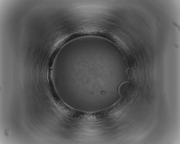 X0000097670640200802291501