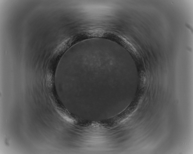 X0000097670641200802291501