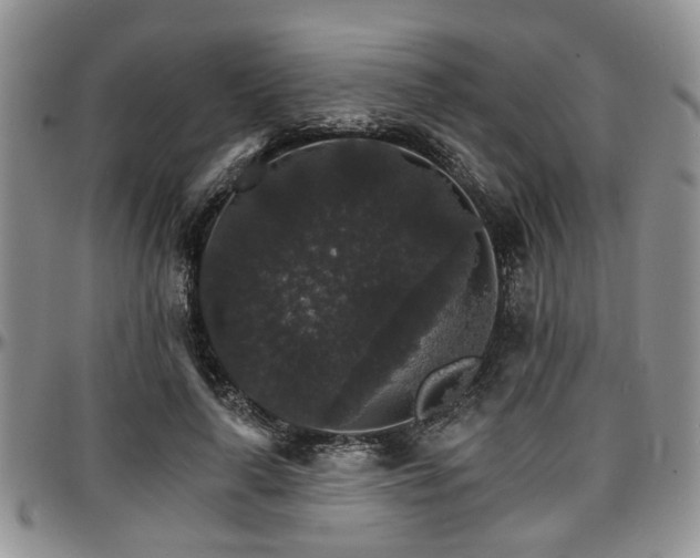 X0000097670643200802291501