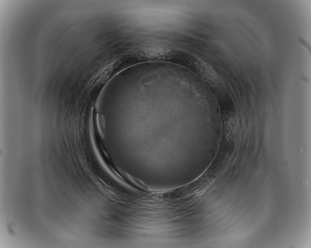 X0000097670644200802291501