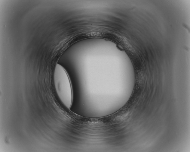 X0000097670645200802291501