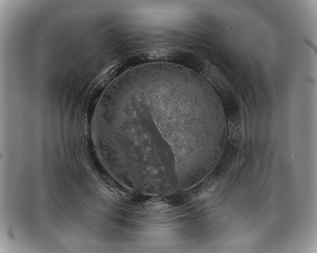 X0000097670648200802291501