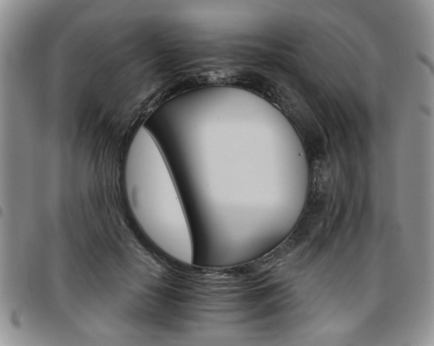 X0000097670650200802291501