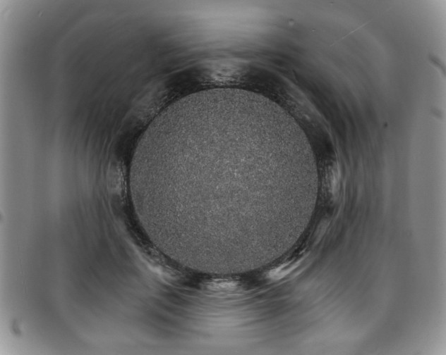 X0000097670651200802291501