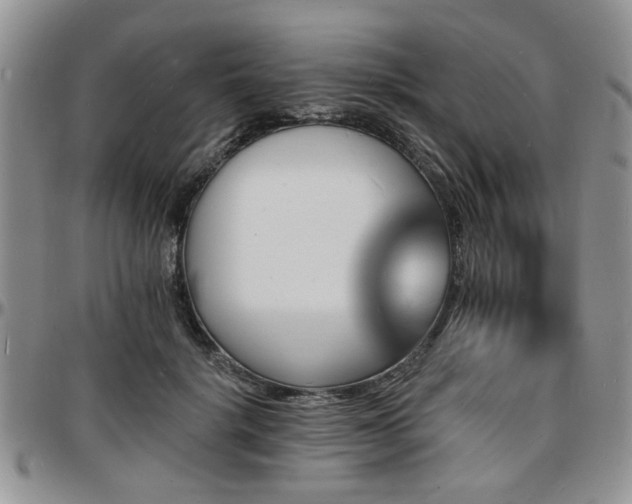 X0000097670652200802291501