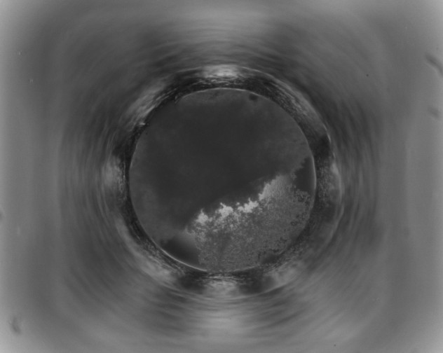X0000097670653200802291501