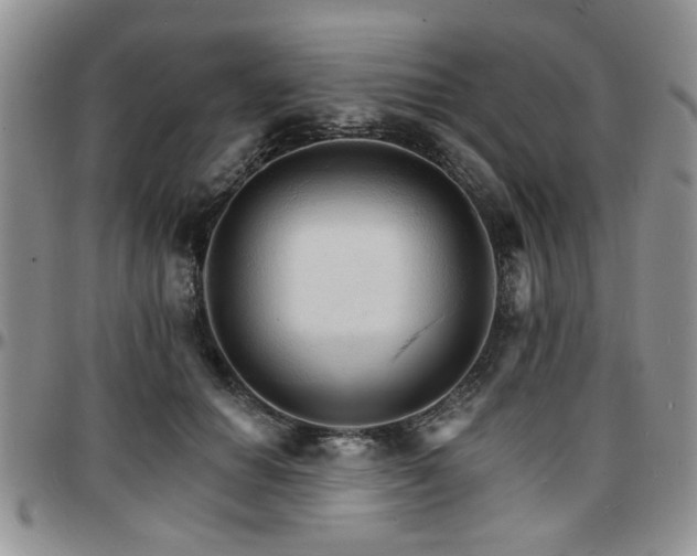 X0000097670654200802291501