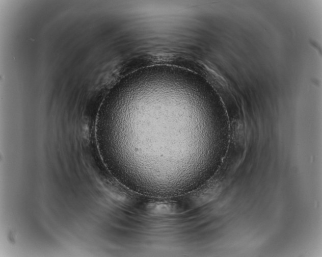 X0000097670655200802291501