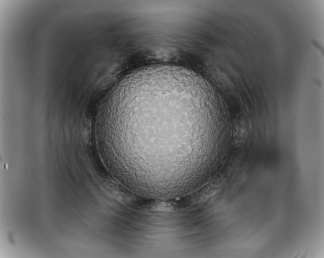X0000097670656200802291501