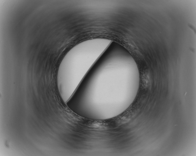 X0000097670657200802291501