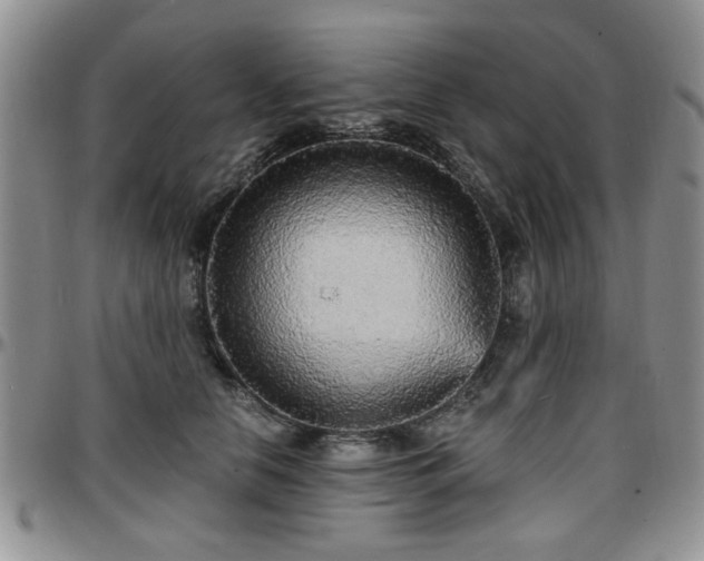 X0000097670658200802291501