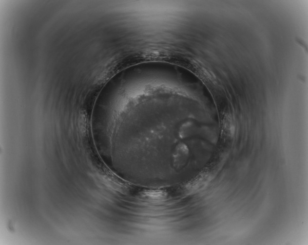 X0000097670659200802291501