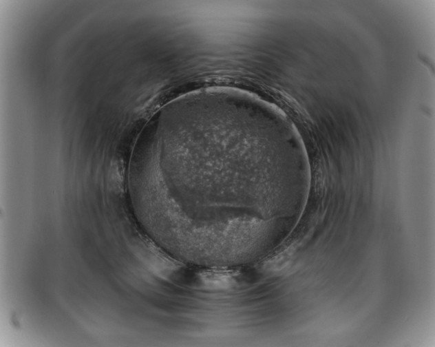 X0000097670661200802291501