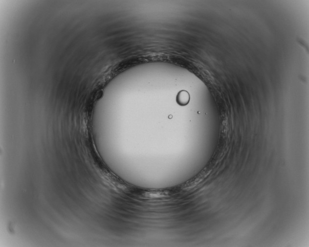 X0000097670662200802291501