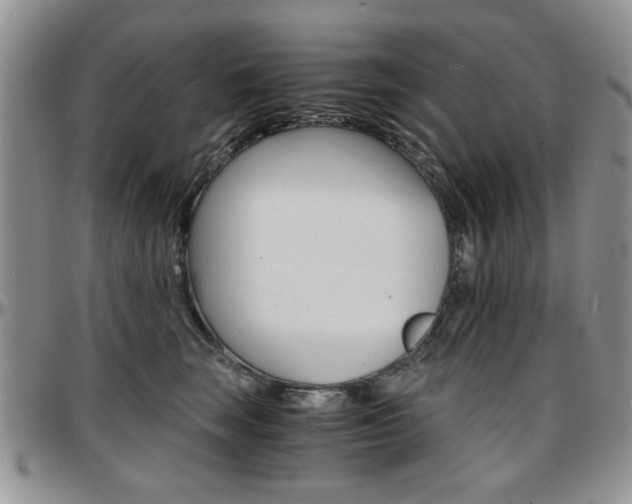 X0000097670663200802291502