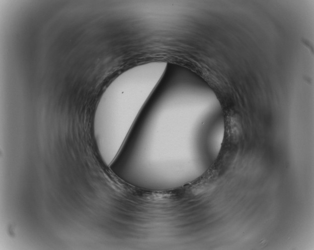 X0000097670664200802291502