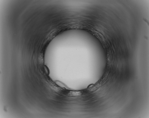 X0000097670665200802291502