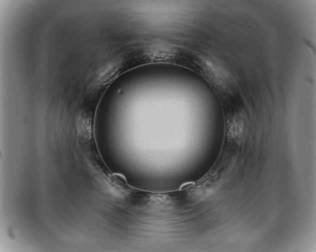 X0000097670666200802291502