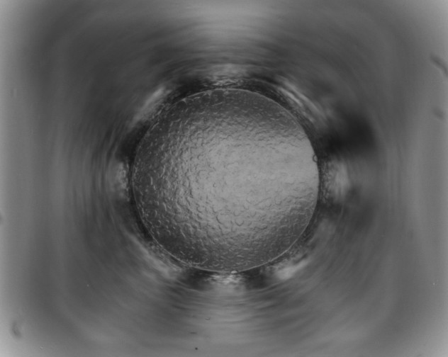 X0000097670667200802291502