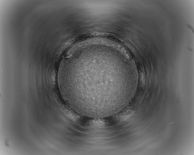 X0000097670668200802291502