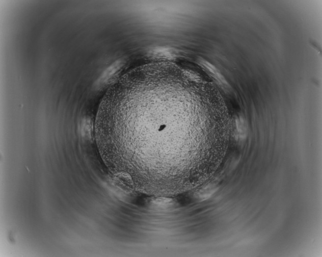X0000097670669200802291502