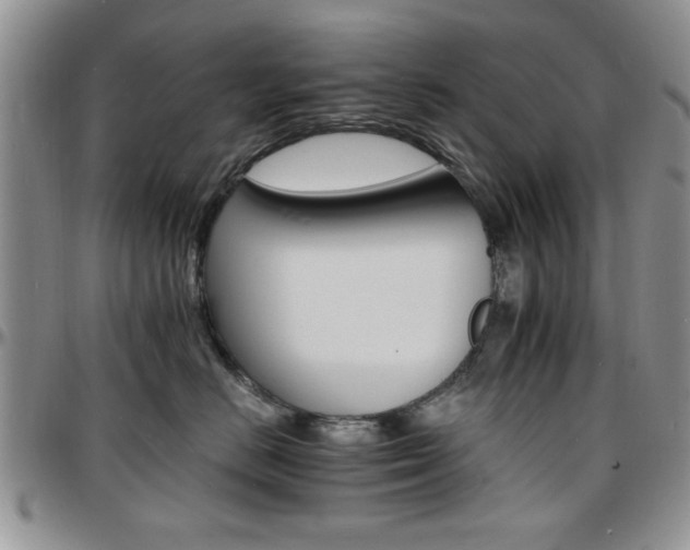 X0000097670670200802291502