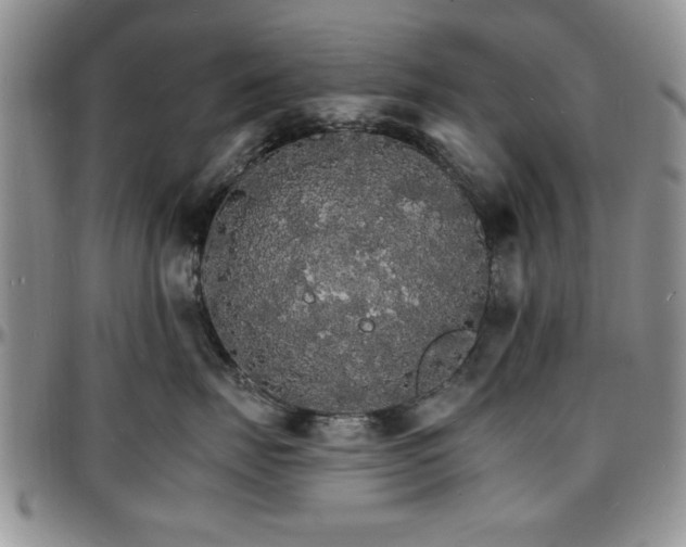 X0000097670671200802291502