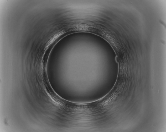 X0000097670674200802291501