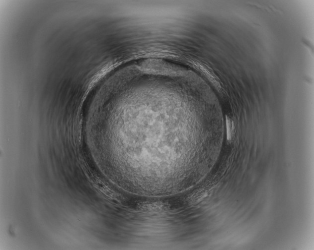 X0000097670675200802291501