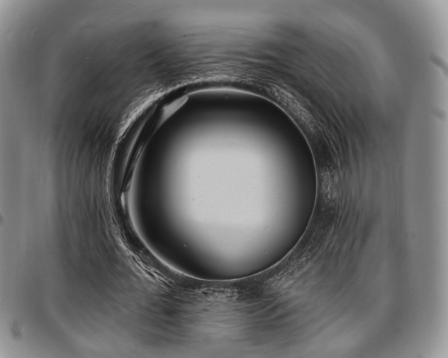 X0000097670676200802291501