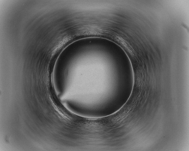 X0000097670677200802291501