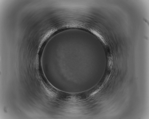 X0000097670678200802291501