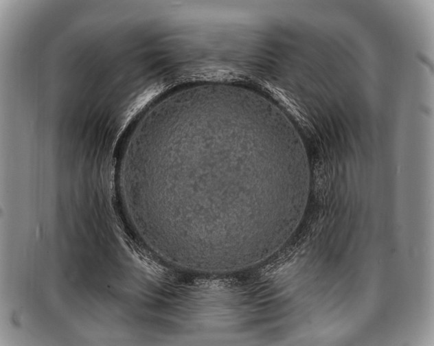 X0000097670679200802291501
