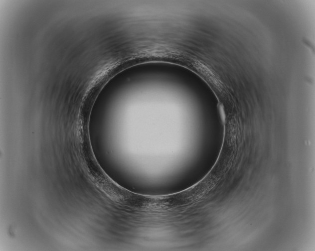 X0000097670680200802291501
