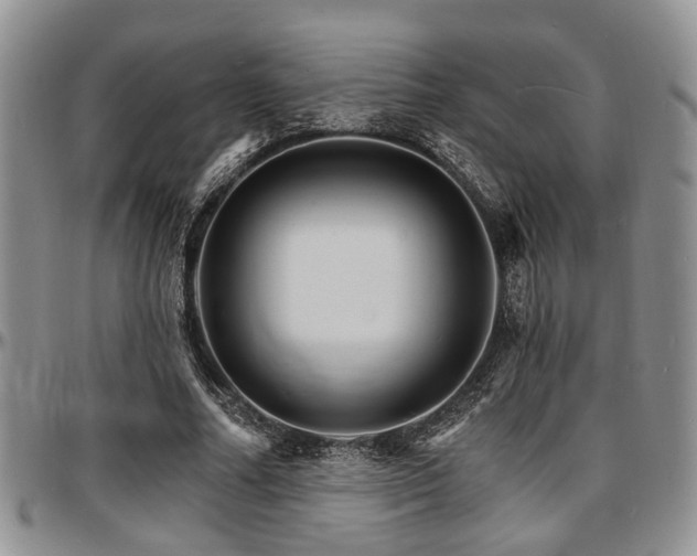 X0000097670682200802291501