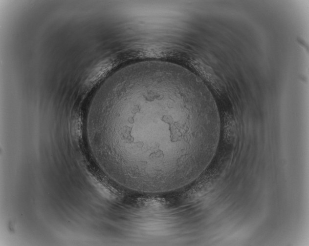 X0000097670683200802291501