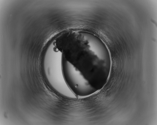 X0000097670684200802291501