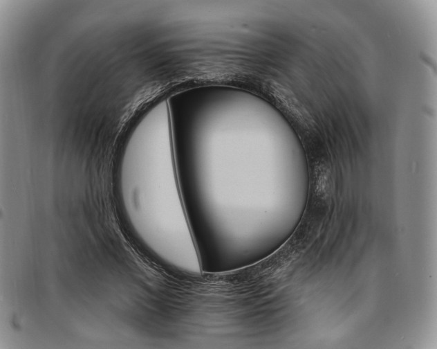 X0000097670685200802291501